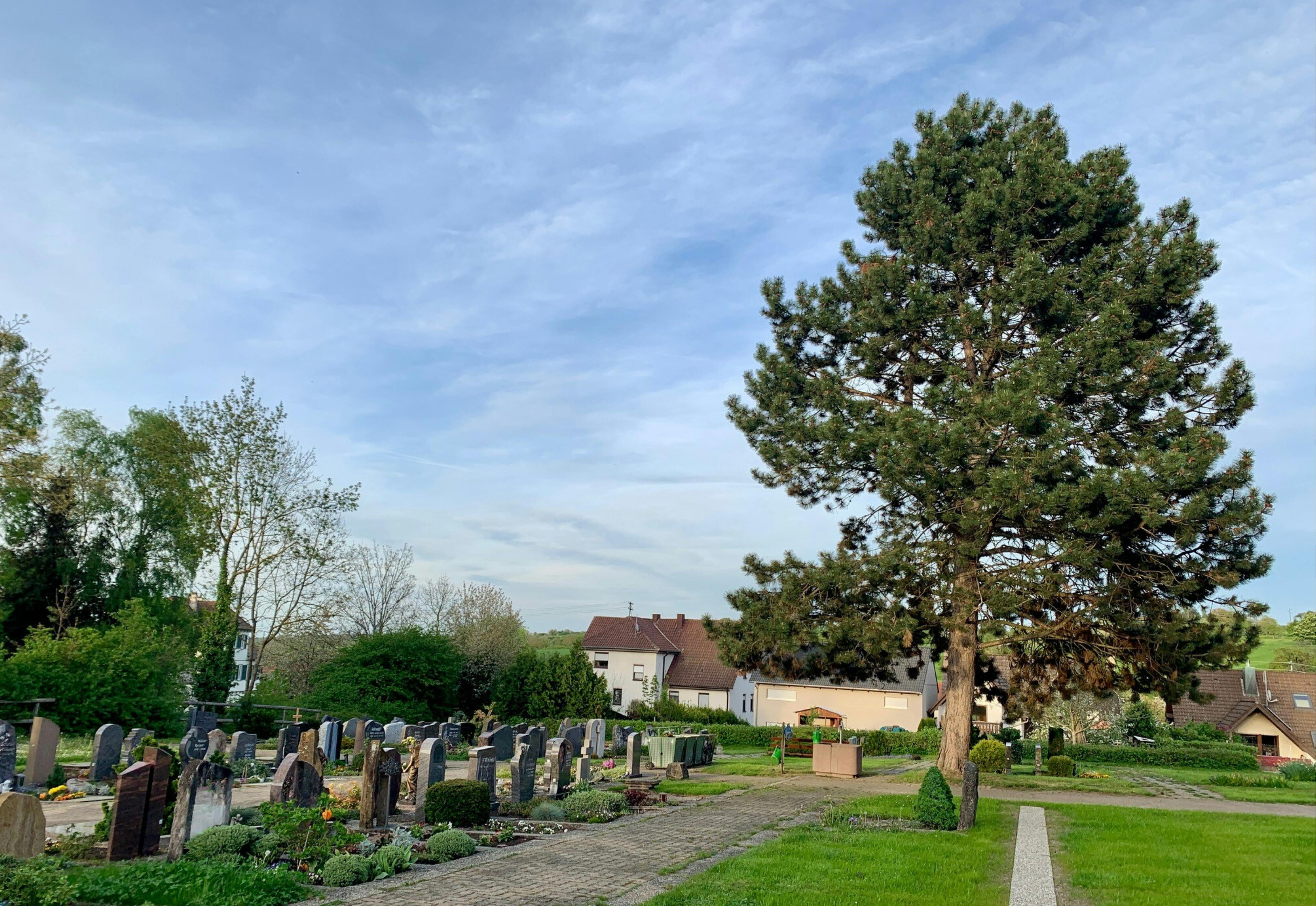 Übersicht des Friedhof Ottenhausen